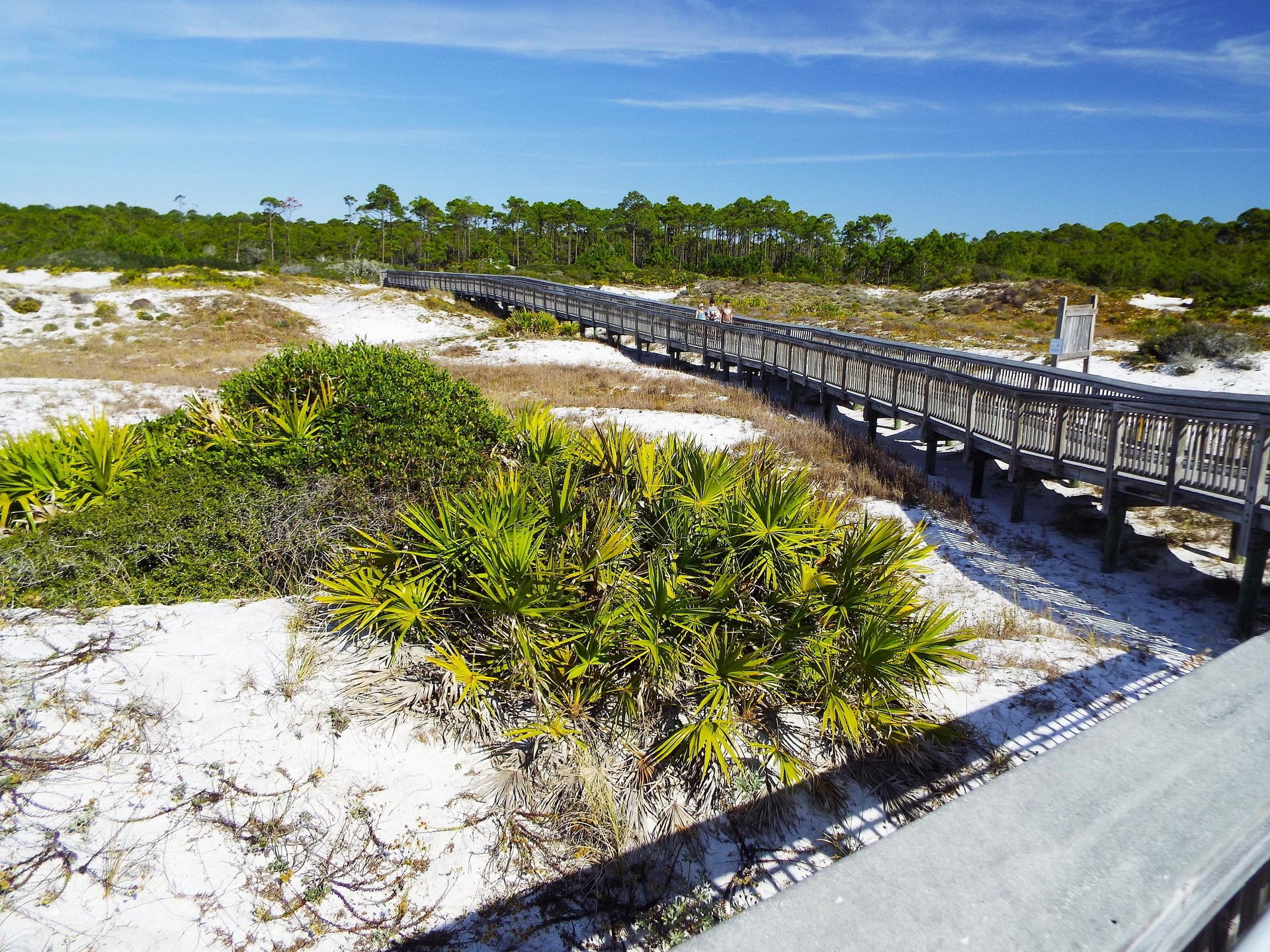 White sugar sand beach, Stabilized sand dunes, and emerald waters of Topsail Hill Preserve State Park Florida