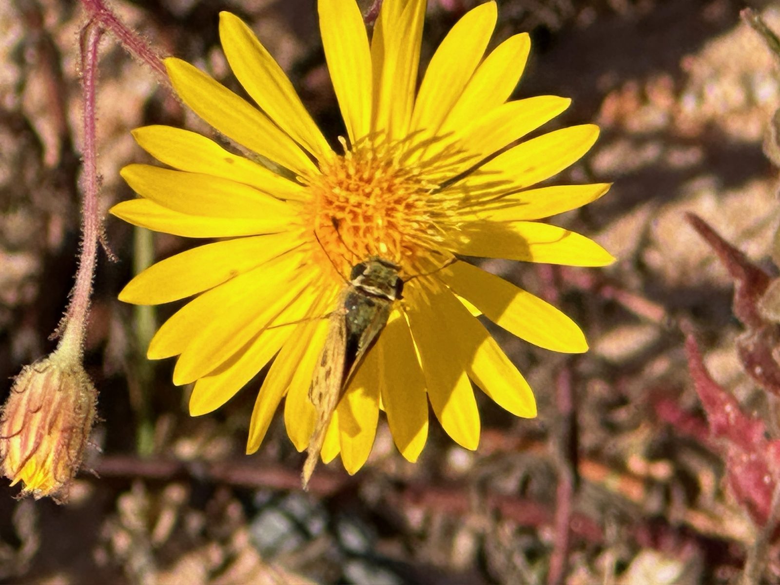 Charity gala setup with auction displays at Point Preserve