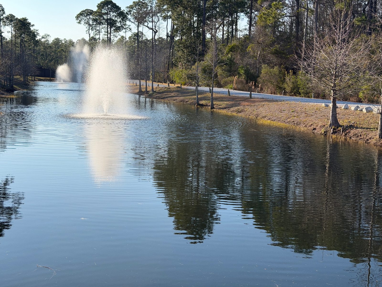 Point Preserve pond and fountain at golden hour